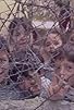 Primary photo for The West Bank Peace Negotiations / Bhopal Battlelines Primary photo for The West Bank Peace Negotiations / Bhopal Battlelines