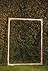 Primary photo for Meet Me in the Garden