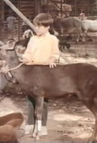 Primary photo for The Wacky Zoo of Morgan City: Part 1