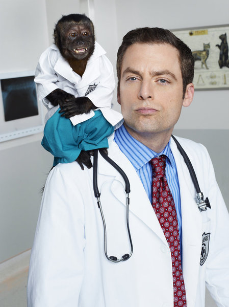 Justin Kirk and Crystal the Monkey in Animal Practice (2012)