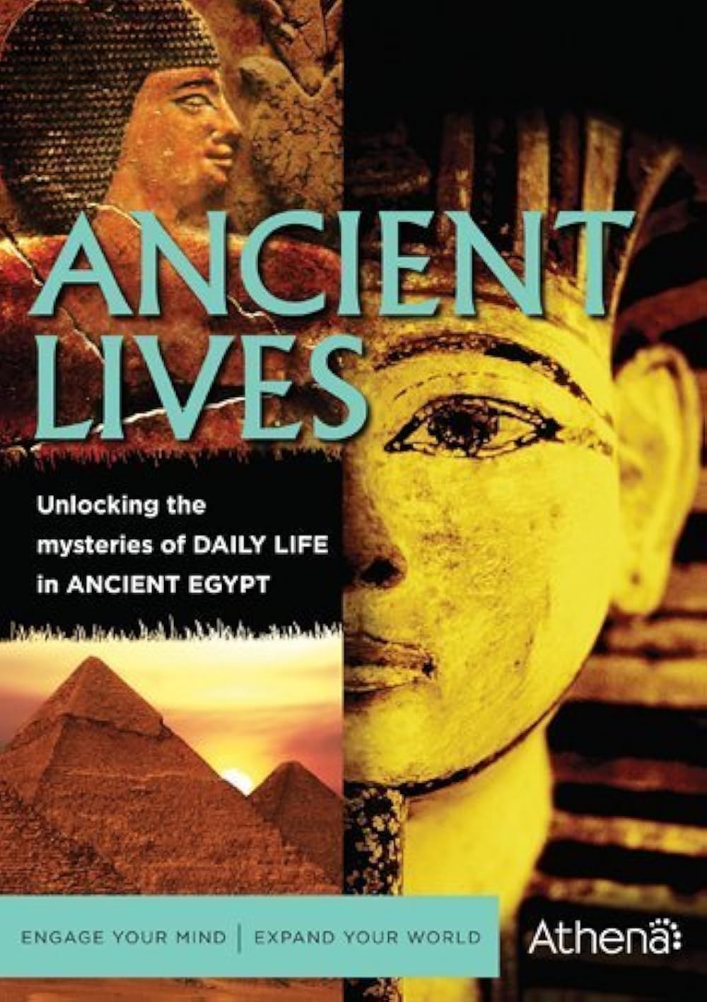 Ancient live. Ancient live. Джорджия испанский мох. Ancient live. Ancient live.