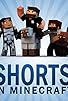Primary photo for Shorts in Minecraft Primary photo for Shorts in Minecraft