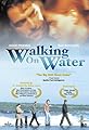 Walking on Water's primary photo