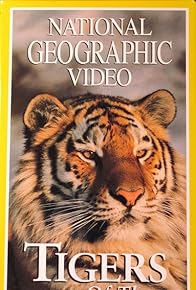 Primary photo for Tigers of the Snow