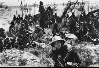 पोस्टर देखें