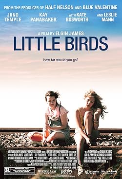 Poster of Little Birds