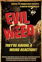 Cynthia LaForte - IMDb