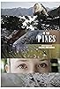 Primary photo for In the Pines Primary photo for In the Pines