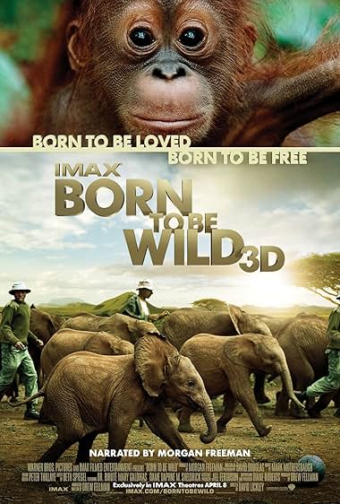 Born to Be Wild 2011