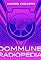 Dommune Radiopedia's primary photo