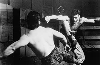 पोस्टर देखें