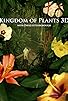 Primary photo for Kingdom of Plants