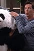 Primary photo for The Grief Panda Primary photo for The Grief Panda