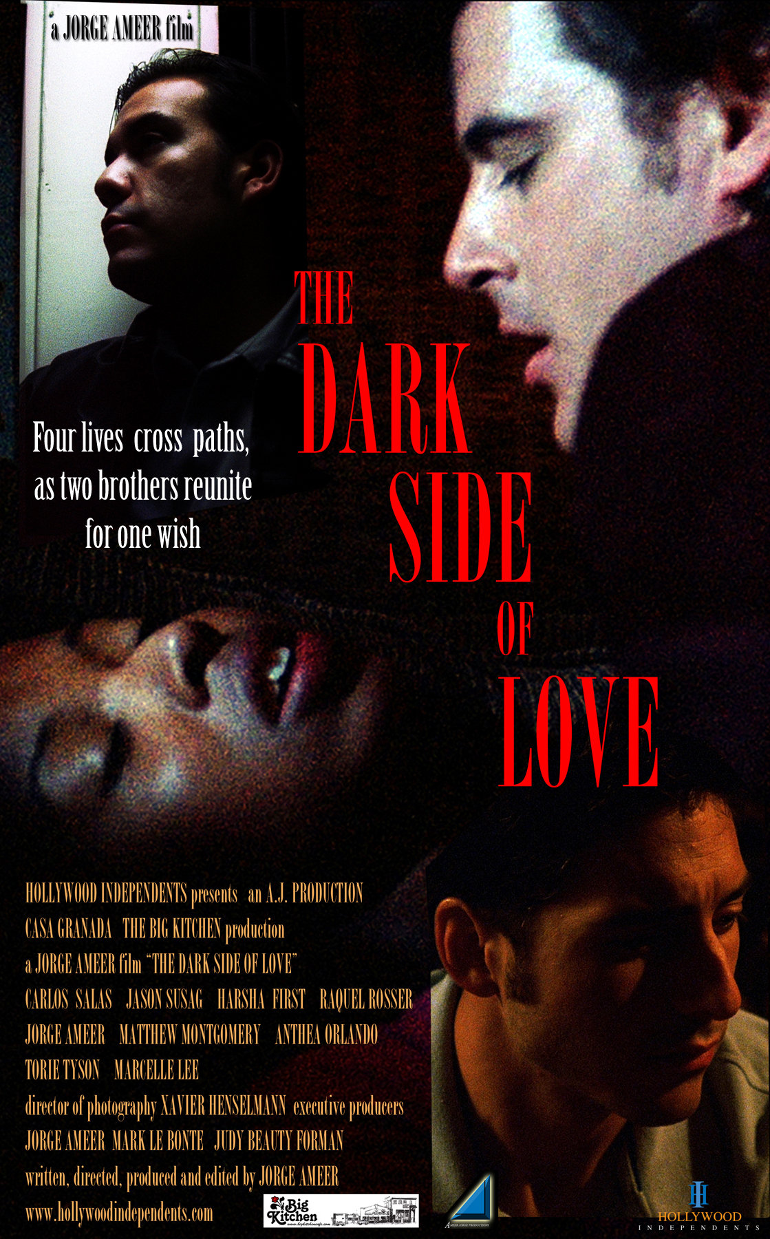 The Dark Side of Love (2012)