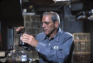 पोस्टर देखें