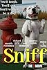 Primary photo for Sniff: The Dog Movie Primary photo for Sniff: The Dog Movie