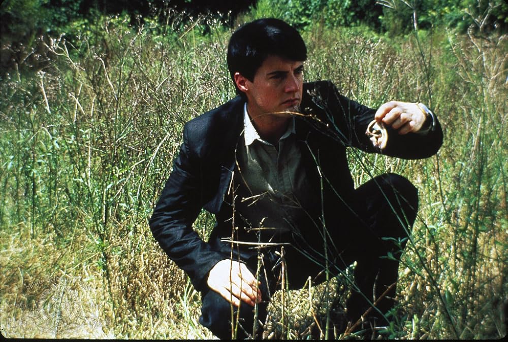 Расписание кинотеатров Рязани на 22 сентября - Афиша-Кино