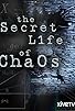 Primary photo for The Secret Life of Chaos Primary photo for The Secret Life of Chaos