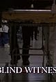 Blind Witness's primary photo
