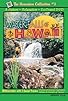Primary photo for Waterfalls of Hawaii Primary photo for Waterfalls of Hawaii