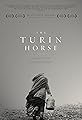 The Turin Horse's primary photo