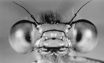 पोस्टर देखें