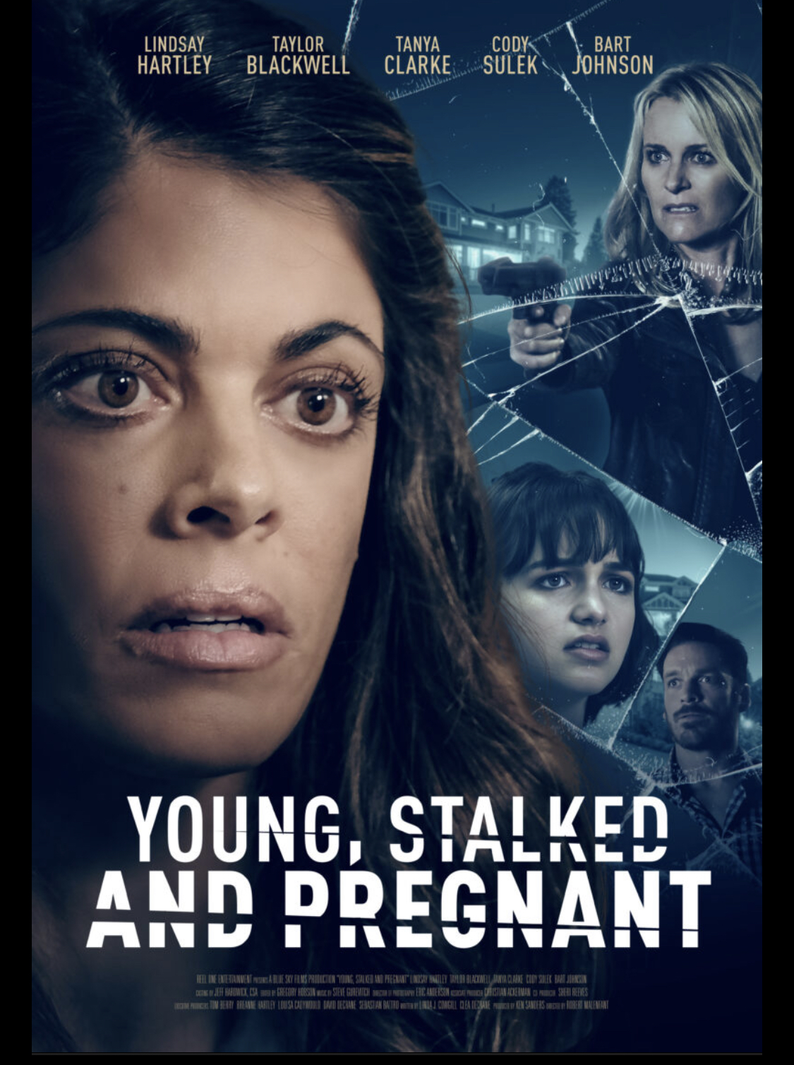 Poster of Young, Stalked, and Pregnant