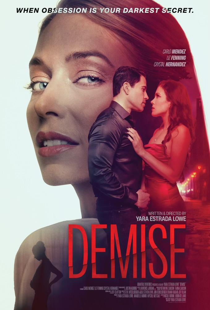 Poster of Demise