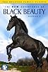 Primary photo for The New Adventures of Black Beauty