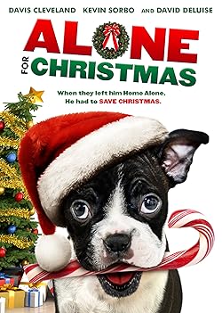 Poster of Alone for Christmas