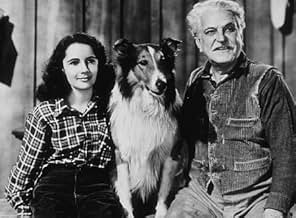 पोस्टर देखें