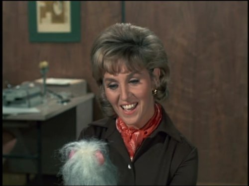 Love On A Rooftop Tv Series 1966 1967 Imdb