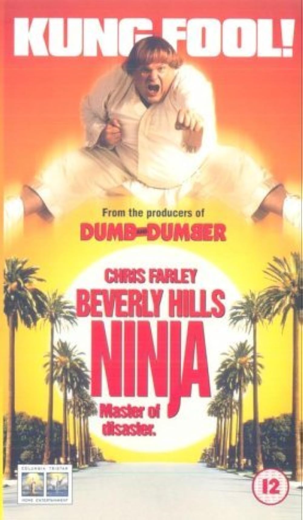 Beverly Hills Ninja (1997)