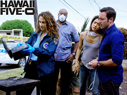 Melina Kanakaredes, Chi McBride, Grace Park, and Alex O'Loughlin in Hawaii Five-0 (2010)