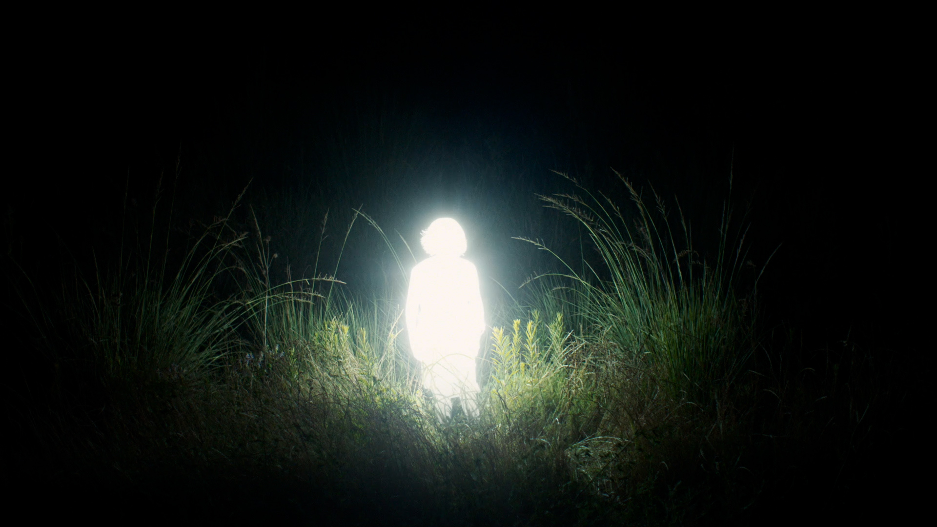 Chronicles Of A Wandering Saint Where To Watch www.imdb.com