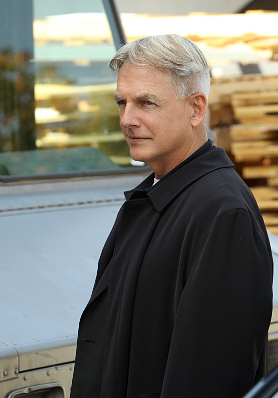 Mark Harmon in NCIS (2003)