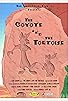 Primary photo for The Coyote and the Tortoise Primary photo for The Coyote and the Tortoise