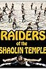 Primary photo for Raiders of the Shaolin Temple