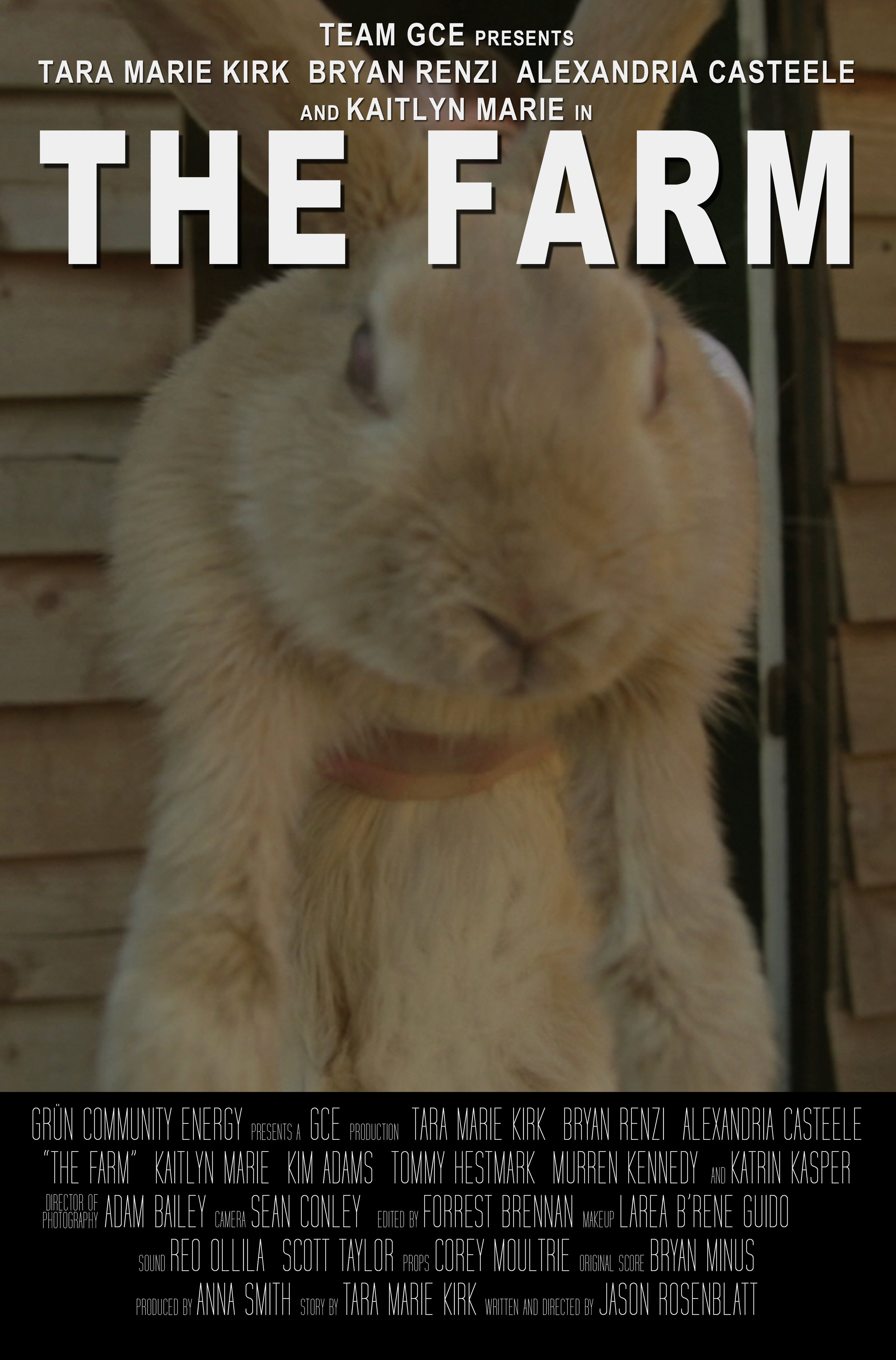 The Farm (2015)