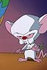 Primary photo for All You Need Is Narf/Pinky's Plan Primary photo for All You Need Is Narf/Pinky's Plan