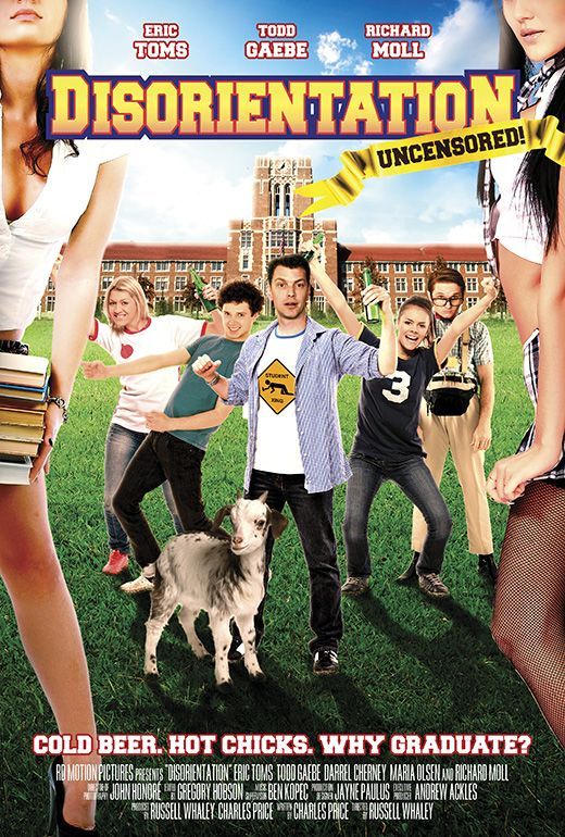 Poster of DisOrientation