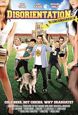 Poster of DisOrientation