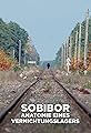 Sobibor - Anatomie eines Vernichtungslagers's primary photo