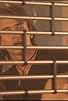 Primary photo for Episode #1.47