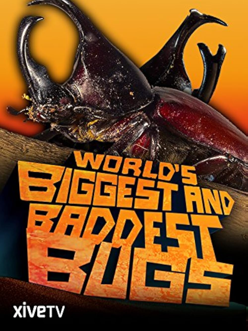 その他 World's Biggest & Baddest Bugs [DVD] World's Biggest and Baddest Bugs (Video 2009) - IMDb