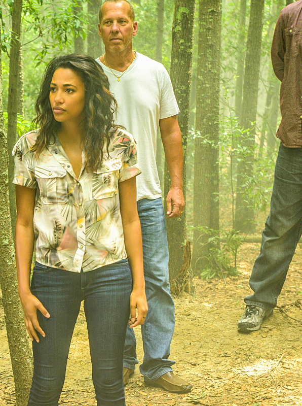 Under the Dome (2013)