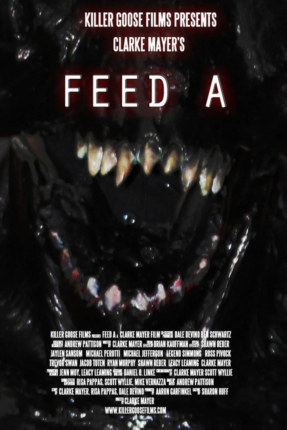 Feed работало. Feed movie.