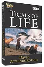 पोस्टर देखें