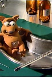 Creature Comforts America Pets At The Vet Secrets Lies Animal