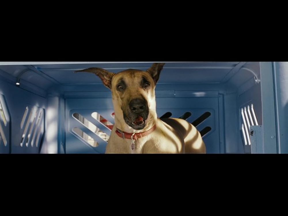 Marmaduke Marmaduke Trailer 2 IMDb